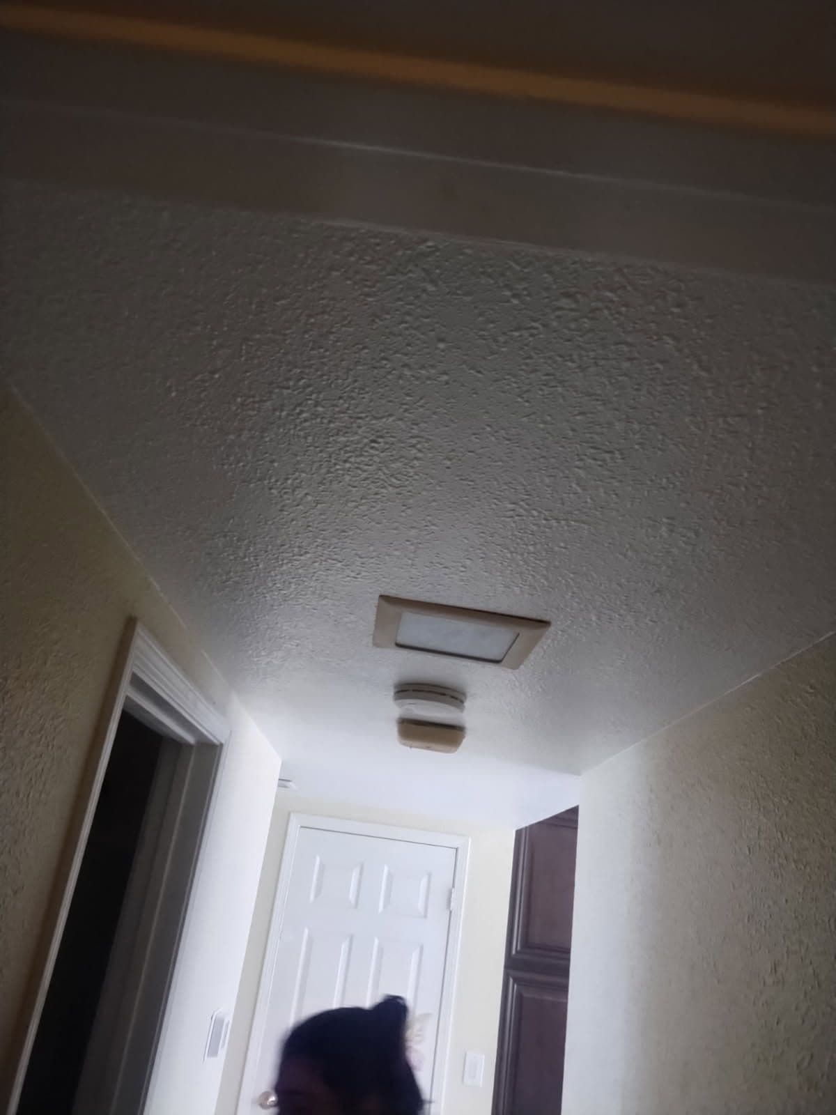 Gallery photos for Elegant Ceiling Transformation with Lighting Upgrade: Image #2