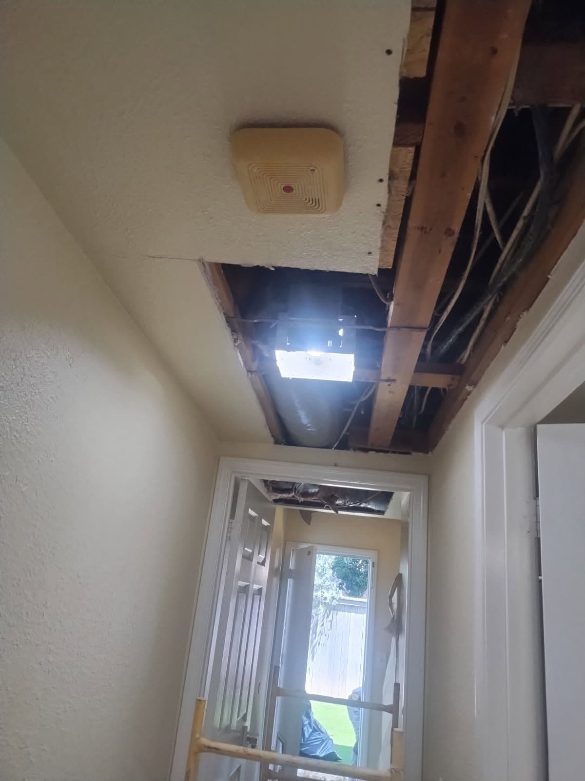 Gallery photos for Elegant Ceiling Transformation with Lighting Upgrade: Image #3